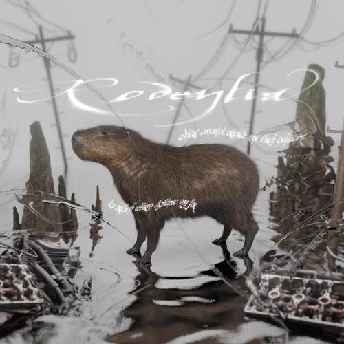 Rodentia
