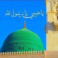 أَمَّنْ يُجِيبُ الْمُضْطَرَّ إِذَا دَعَاهُ - ناصر القطامي.mp3