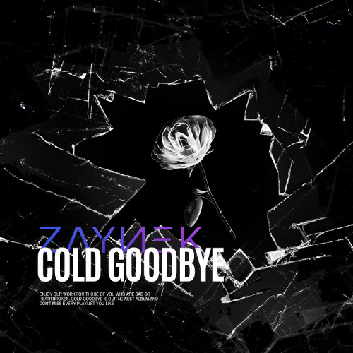 ZAYNEK - Wouldn't change the shadows