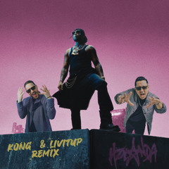Holanda Kong & Livitup Remix