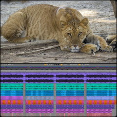 (Ableton-Live: Freestyle-Animals-Samples-Dark-Hitech) Track No: 6760.