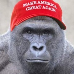 Brice'n Grey - I'm Black (MAGA HAT REMIX) AI PARODY SONG