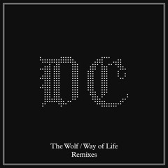Way of Life (Octave One Remix)