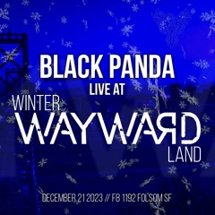 Live @ Winter Wayward Land @ F8 - Dec. 2023