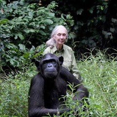 Jane Goodall
