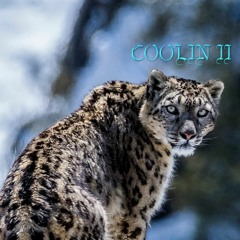 COOLIN II