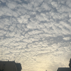 Unreleased afro house(set)