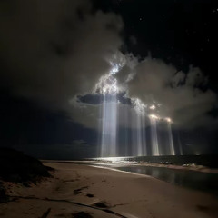 wish you would [ft V2k]