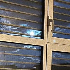 Stevie Wonder - Send One Your Love