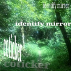 identify mirror