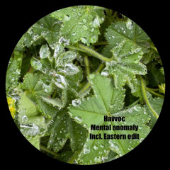 havvoc - mental anomaly