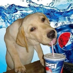 pepsi dog (instrumental)