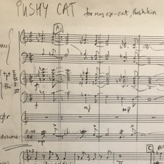 Pushy Cat (big band)