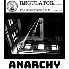 Regulator - Anarchy