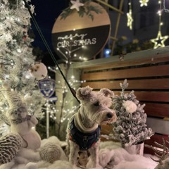 Joel the lump of coal