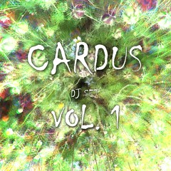 Cardus Dj Set Vol.1 Techno influences & fullon