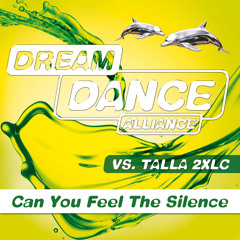 Can You Feel the Silence (We Do Voodoo Remix)