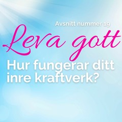 19: Hur fungerar ditt inre kraftverk?