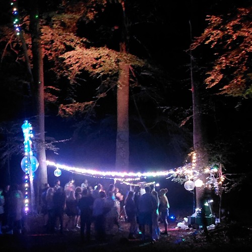 Live @ Atlantis in Grunewald (July 19)