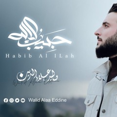 وليد علاء الدين- أنشودة حبيب الإله | Walid Alaa Eddine-Habib Al ILah
