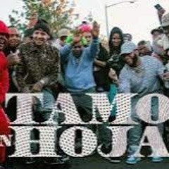 El Alfa El Jefe X Dowba Montana X MarkB - Tamo En Hoja,DJ LOW REMIX