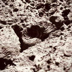 Keta Lenis & Sofie Iversen -Respiraciones-Residuales-Extremofilos16bit44.1