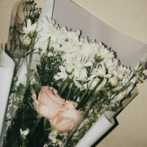 Fall for You // Sarah Kang & Jesse Barrera