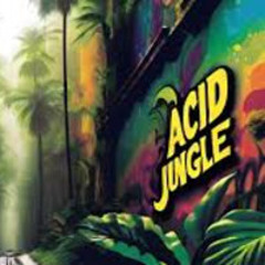 JQX-E - Acid Jungle 2.0