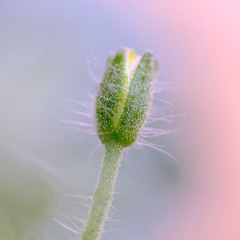 Onyr - Rainmaker (feat. James Allsopp)