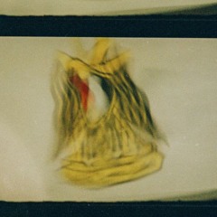 Golden_Eagle