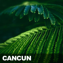 (FREE) | "Cancun" | Rema x Burna Boy x B Young Type Beat | Free Beat | Afrobeat Instrumental 2025