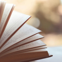 s'il fallait des mots