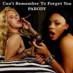 Can't Remember to Forget You Parody