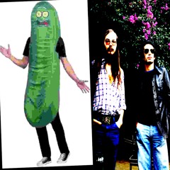 picklerick n' steelydan | ft.christfux | prod.ptrckparker
