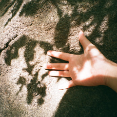 제발 (들국화) cover