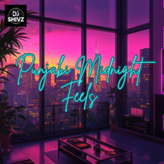Punjabi Midnight Feels - DJ Shivz