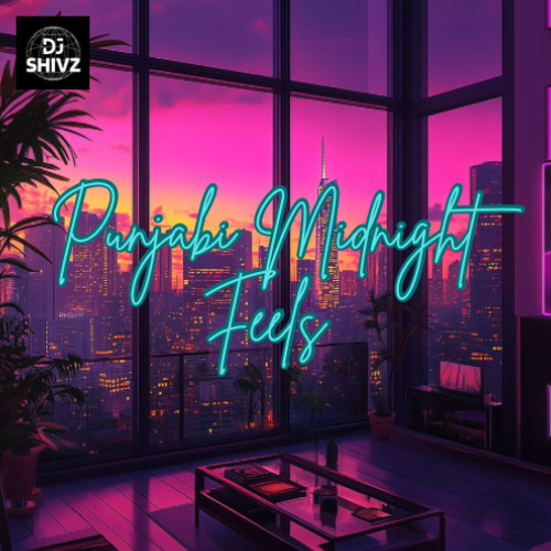 Punjabi Midnight Feels - DJ Shivz