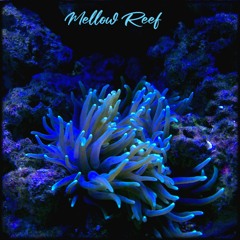 GATZ & KARMAWIN - Mellow Reef