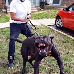 Bitti Dersler {R.I.P HOUDINI} (ft. 2run) OG VERSION