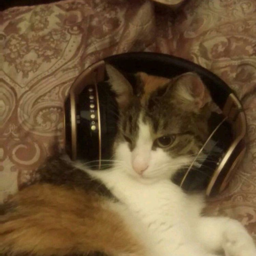 where is my mind? - pixies (sped up)