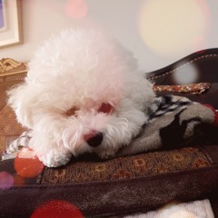 IDK My fav songs🎀🎀