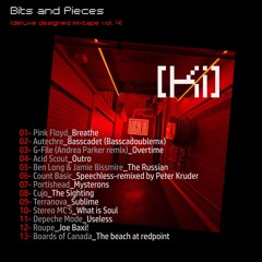 Djane Ki - Bits and Pieces [Deluxe Designed mixtape Vol.4]