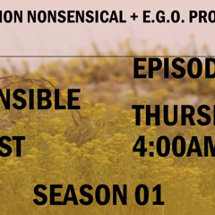 Be Responsible Podcast - Promo