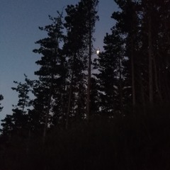 desaparecido - movimiento - exterminio y resistencia