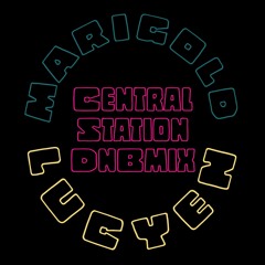 Central Station DnBmix (Lucyen Remix)