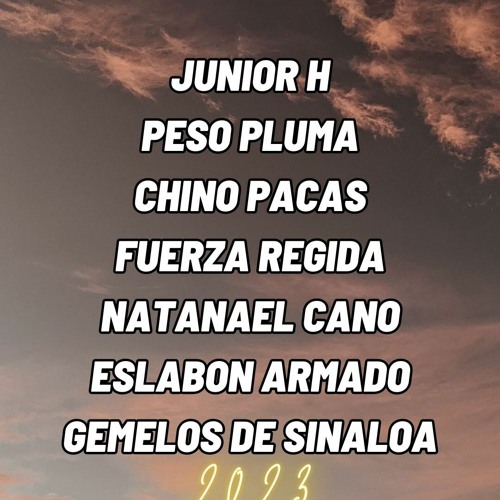 Stream Corridos Tumbados Mix 2023 Rr By Rr Listen Online For Free