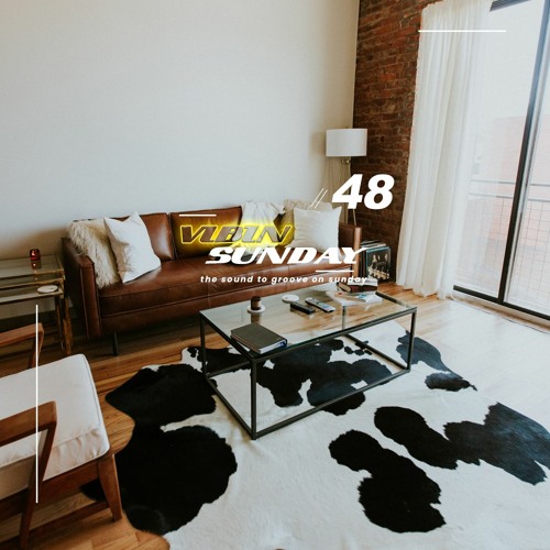 VIBIN Sunday 48