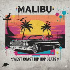 Palm Shadows Groove West Coast Hip Hop Beat