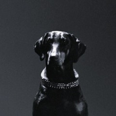 Gem Lingo (ovr now) [shingees bootleg]