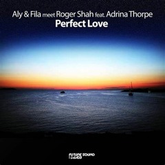 PERFECT LOVE - DARTHA X NMK [VIP]